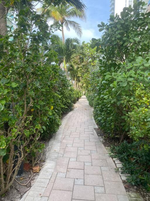 Beachwalk 1B-1B Apmt Amazing View 12A Hallandale Beach Esterno foto